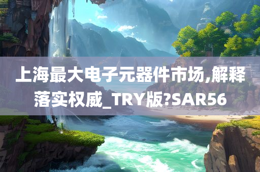 上海最大电子元器件市场,解释落实权威_TRY版?SAR56