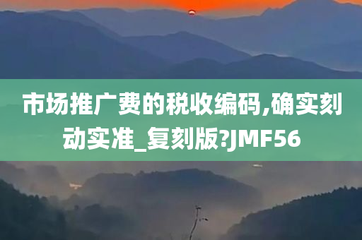 市场推广费的税收编码,确实刻动实准_复刻版?JMF56