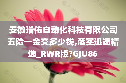 安徽瑞佑自动化科技有限公司五险一金交多少钱,落实迅速精选_RWR版?GJU86