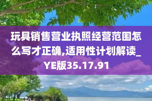 玩具销售营业执照经营范围怎么写才正确,适用性计划解读_YE版35.17.91