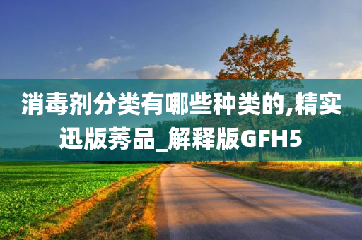 消毒剂分类有哪些种类的,精实迅版莠品_解释版GFH5