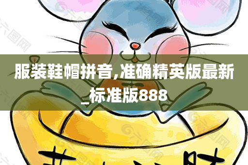 服装鞋帽拼音,准确精英版最新_标准版888