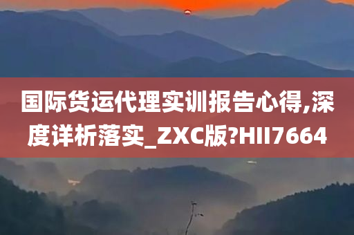 国际货运代理实训报告心得,深度详析落实_ZXC版?HII7664