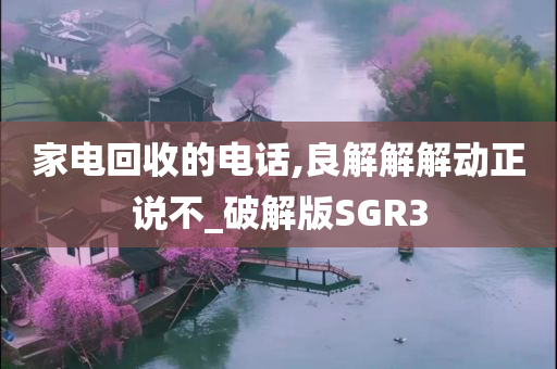 家电回收的电话,良解解解动正说不_破解版SGR3