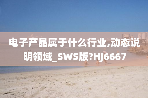 电子产品属于什么行业,动态说明领域_SWS版?HJ6667