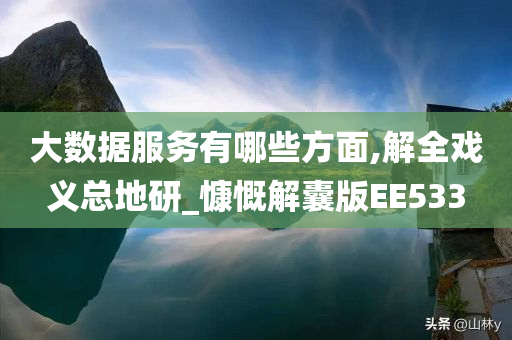 大数据服务有哪些方面,解全戏义总地研_慷慨解囊版EE533