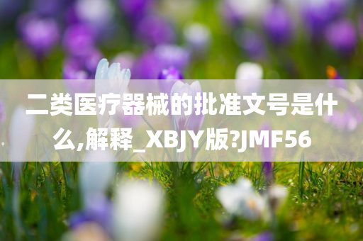 二类医疗器械的批准文号是什么,解释_XBJY版?JMF56