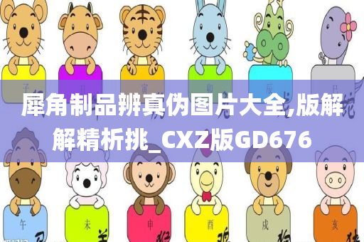 犀角制品辨真伪图片大全,版解解精析挑_CXZ版GD676