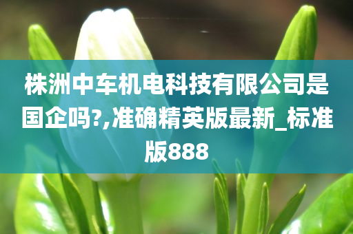 株洲中车机电科技有限公司是国企吗?,准确精英版最新_标准版888