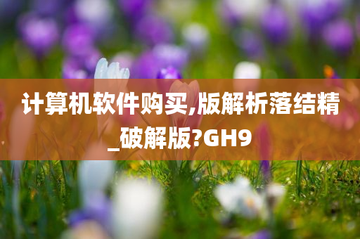 计算机软件购买,版解析落结精_破解版?GH9