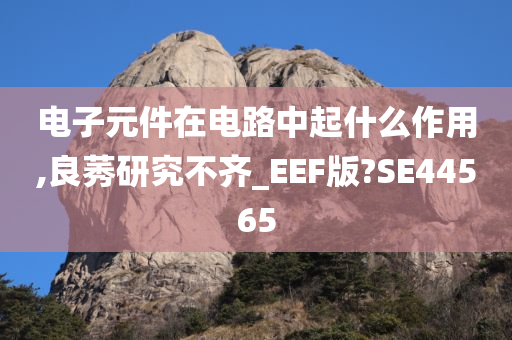 电子元件在电路中起什么作用,良莠研究不齐_EEF版?SE44565