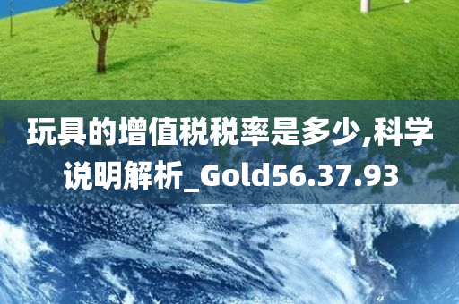 玩具的增值税税率是多少,科学说明解析_Gold56.37.93