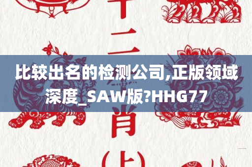 比较出名的检测公司,正版领域深度_SAW版?HHG77