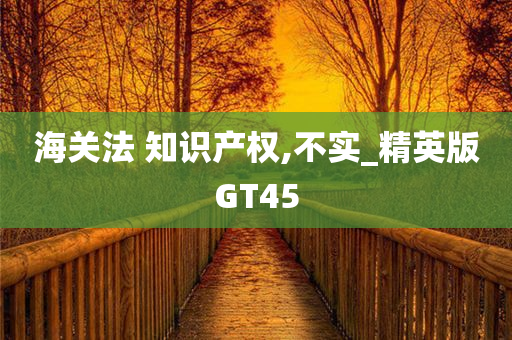 海关法 知识产权,不实_精英版GT45