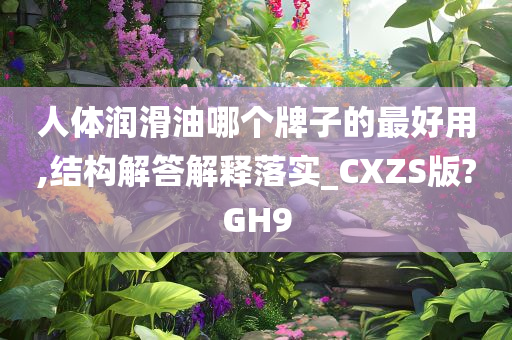 人体润滑油哪个牌子的最好用,结构解答解释落实_CXZS版?GH9