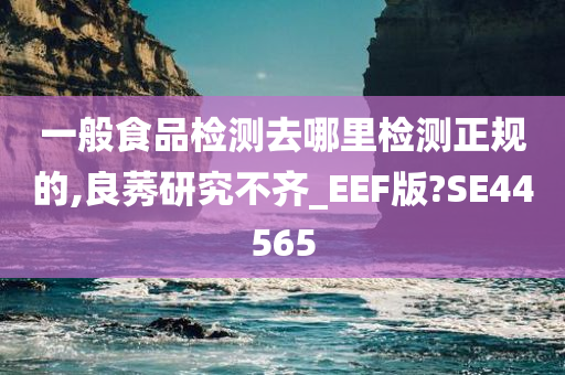 一般食品检测去哪里检测正规的,良莠研究不齐_EEF版?SE44565