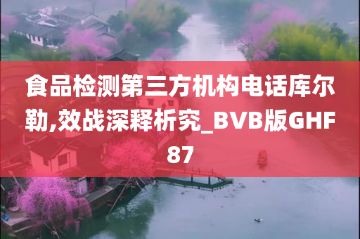 食品检测第三方机构电话库尔勒,效战深释析究_BVB版GHF87