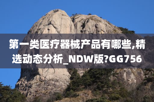 第一类医疗器械产品有哪些,精选动态分析_NDW版?GG756