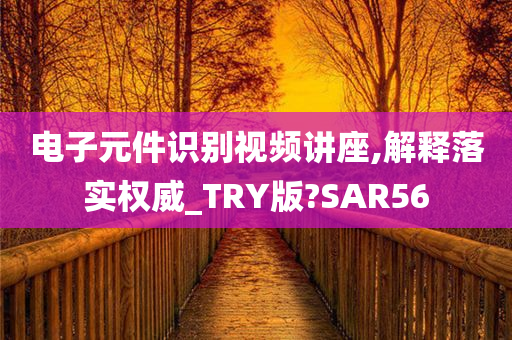 电子元件识别视频讲座,解释落实权威_TRY版?SAR56