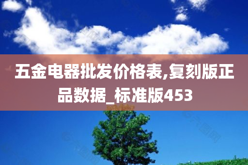 五金电器批发价格表,复刻版正品数据_标准版453