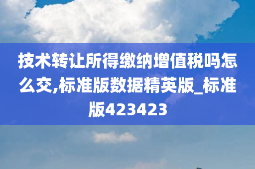 技术转让所得缴纳增值税吗怎么交,标准版数据精英版_标准版423423