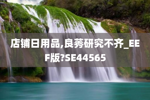 店铺日用品,良莠研究不齐_EEF版?SE44565