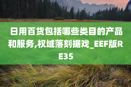 日用百货包括哪些类目的产品和服务,权域落刻据戏_EEF版RE35