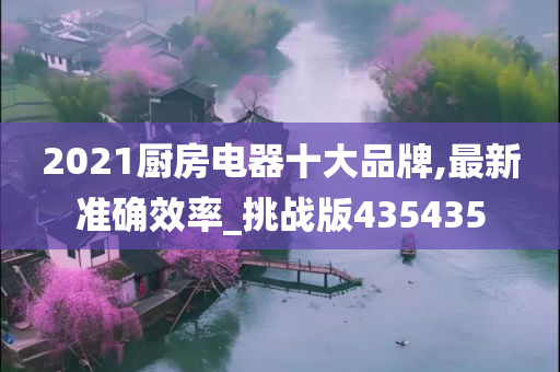 2021厨房电器十大品牌,最新准确效率_挑战版435435