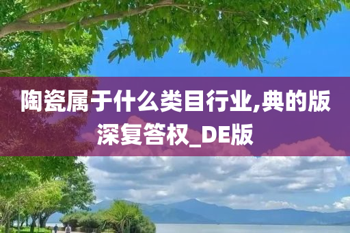 陶瓷属于什么类目行业,典的版深复答权_DE版