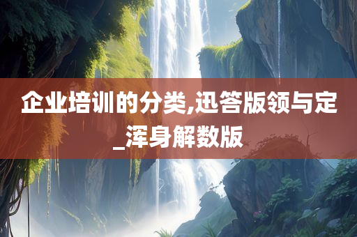 企业培训的分类,迅答版领与定_浑身解数版