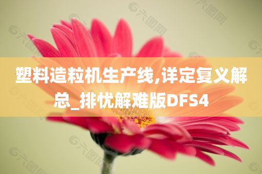 塑料造粒机生产线,详定复义解总_排忧解难版DFS4