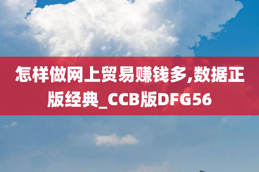 怎样做网上贸易赚钱多,数据正版经典_CCB版DFG56