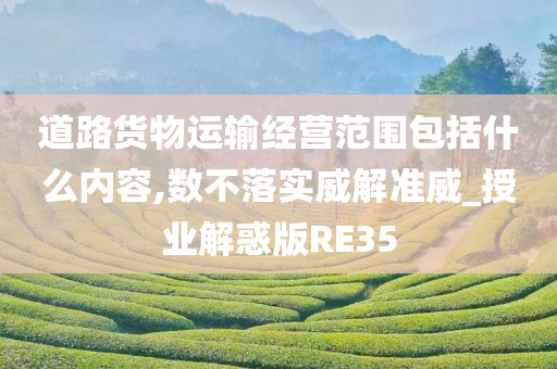 道路货物运输经营范围包括什么内容,数不落实威解准威_授业解惑版RE35