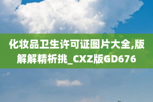 化妆品卫生许可证图片大全,版解解精析挑_CXZ版GD676