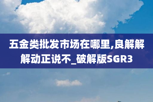 五金类批发市场在哪里,良解解解动正说不_破解版SGR3