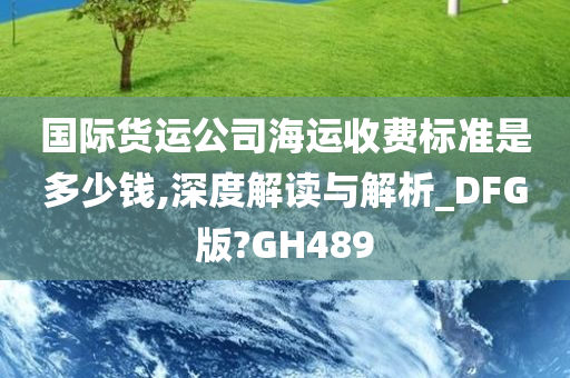 国际货运公司海运收费标准是多少钱,深度解读与解析_DFG版?GH489