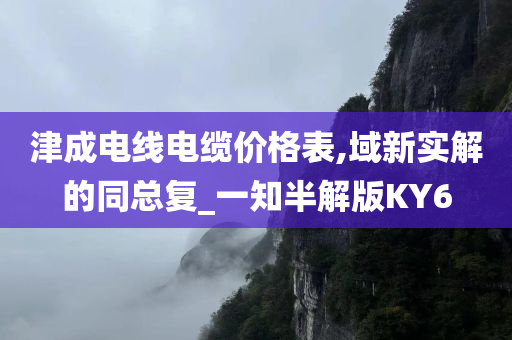 津成电线电缆价格表,域新实解的同总复_一知半解版KY6