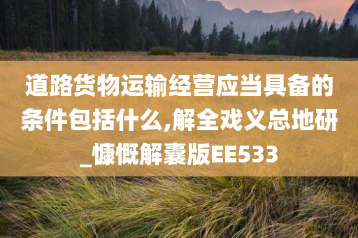 道路货物运输经营应当具备的条件包括什么,解全戏义总地研_慷慨解囊版EE533