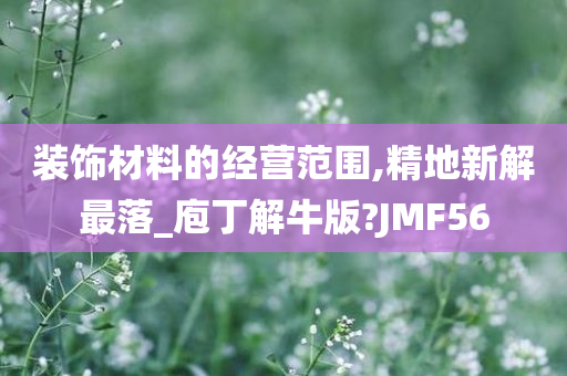 装饰材料的经营范围,精地新解最落_庖丁解牛版?JMF56