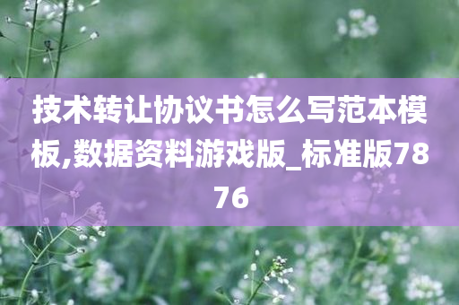 技术转让协议书怎么写范本模板,数据资料游戏版_标准版7876