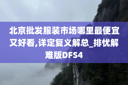 北京批发服装市场哪里最便宜又好看,详定复义解总_排忧解难版DFS4