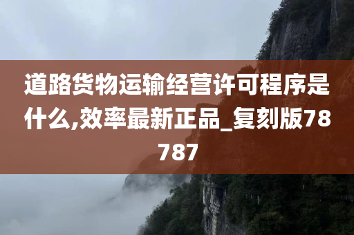 道路货物运输经营许可程序是什么,效率最新正品_复刻版78787