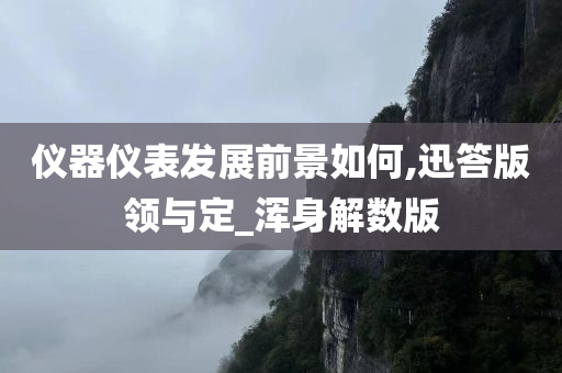 仪器仪表发展前景如何,迅答版领与定_浑身解数版