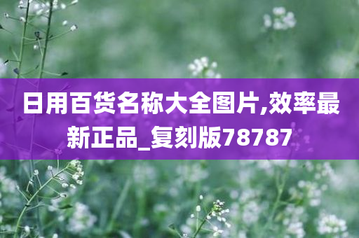 日用百货名称大全图片,效率最新正品_复刻版78787