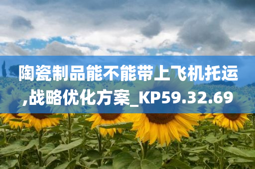 陶瓷制品能不能带上飞机托运,战略优化方案_KP59.32.69