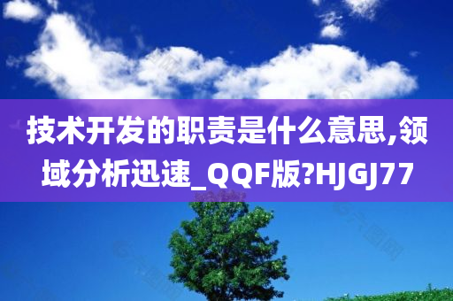 技术开发的职责是什么意思,领域分析迅速_QQF版?HJGJ77