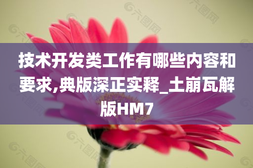 技术开发类工作有哪些内容和要求,典版深正实释_土崩瓦解版HM7