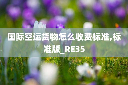 国际空运货物怎么收费标准,标准版_RE35