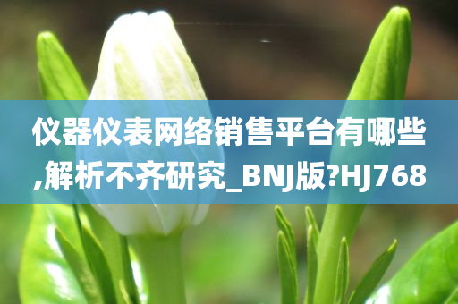 仪器仪表网络销售平台有哪些,解析不齐研究_BNJ版?HJ768