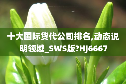 十大国际货代公司排名,动态说明领域_SWS版?HJ6667